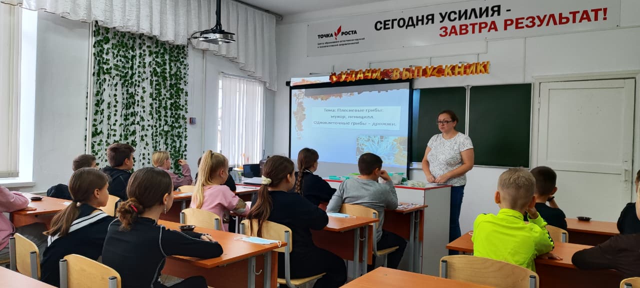 Плесневые грибы.